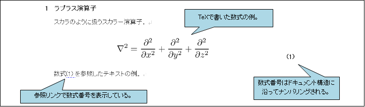図2.1.1 式枠の例<br/>